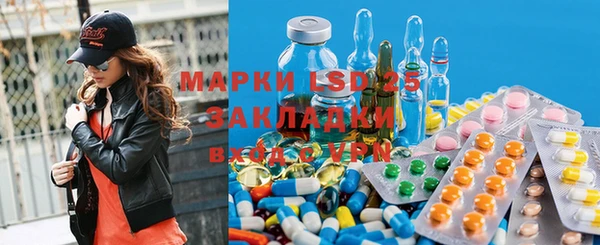 хмурый Алзамай